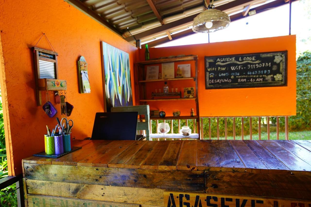 Lodge Agaseke